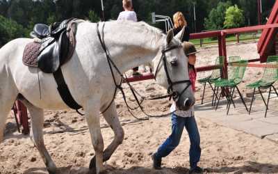 Youth camp, Julinek – Wioo Przygodo z Hobby Horse B&B Julinek Park, 7 dni 9-12 lat