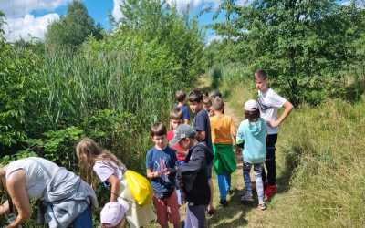 Youth camp, Julinek - kolonia Młody Przyrodnik B&B Julinek Park, 7 dni 7-11 lat
