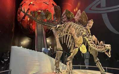 !tr_error=en->oboz_mlodziezowy_zagraniczny!, Londyn - obóz turystyczno - językowy - wylot z Gdańska, 8 dni 13-19 lat