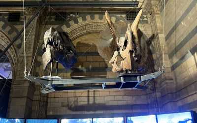 Youth camp, Londyn - obóz turystyczno-językowy Londyn, 9 dni 13-19 lat