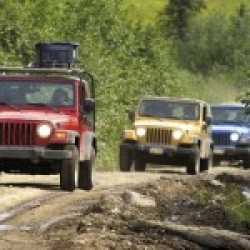 Optional trip, Jeep Safari