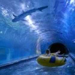 Optional trip, Aquapark + gadolandia i papugarnia