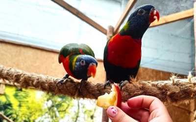 Youth camp, Jastrzębia Góra - obóz książkowy z Marysią Krasowską OW Diuna, 10 dni 11-17 lat