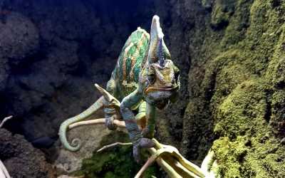 Youth camp, Jastrzębia Góra - obóz Full Time z wycieczkami OW Diuna, 10 dni 9-14 lat