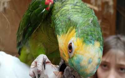 Youth camp, Jastrzębia Góra - obóz Full Time z wycieczkami OW Diuna, 10 dni 9-14 lat