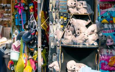 Youth camp, Jastrzębia Góra - kolonia "Morski Mixer" OW Diuna, 10 dni 9-14 lat