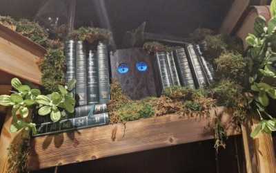 Youth camp, Jastrzębia Góra - Ekspresem do Hogwartu LEVEL 2 OW Diuna, 10 dni 9-14 lat